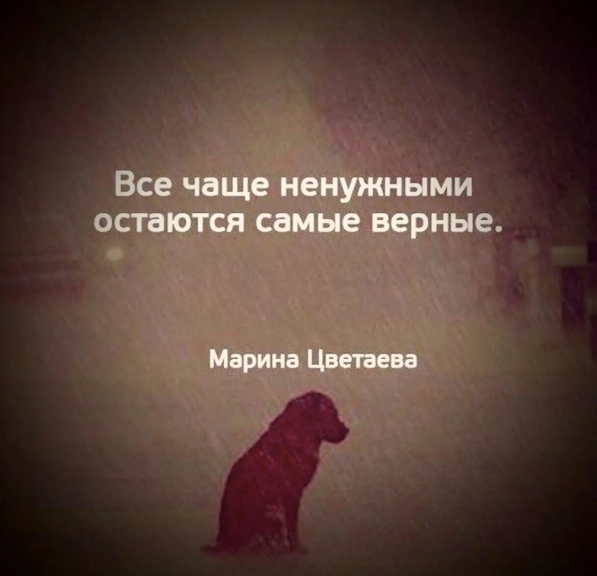 Всё чаще ненужными остаются самые верные. Не нужна цитаты. Цитаты про ненужных людей. Ненужная цитаты. Верный друг высказывания