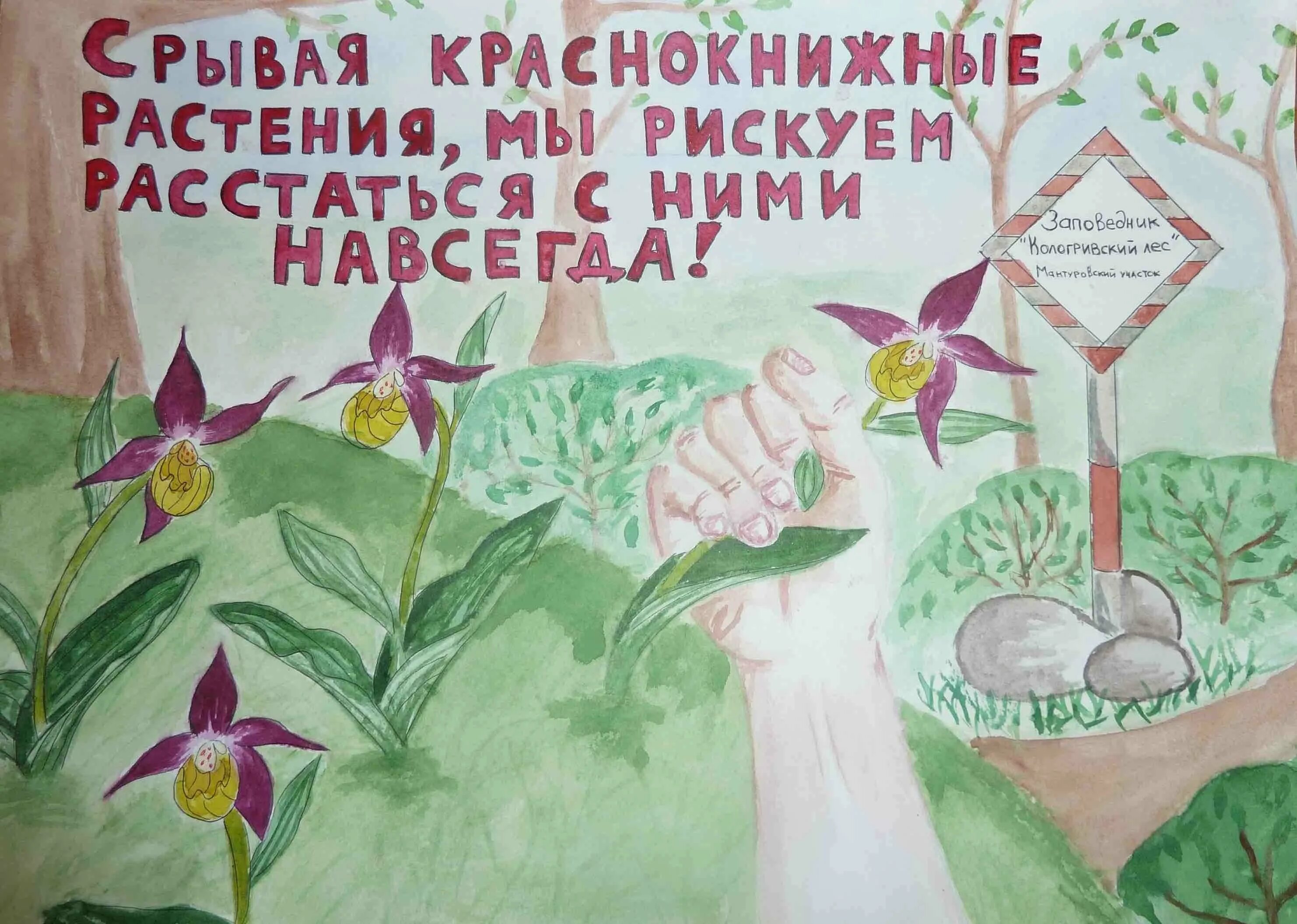 Сохраним цветы весне. Экологический плакат. Плакат о защите животных и растений. Берегите растения. Плакат на экологическую тему.