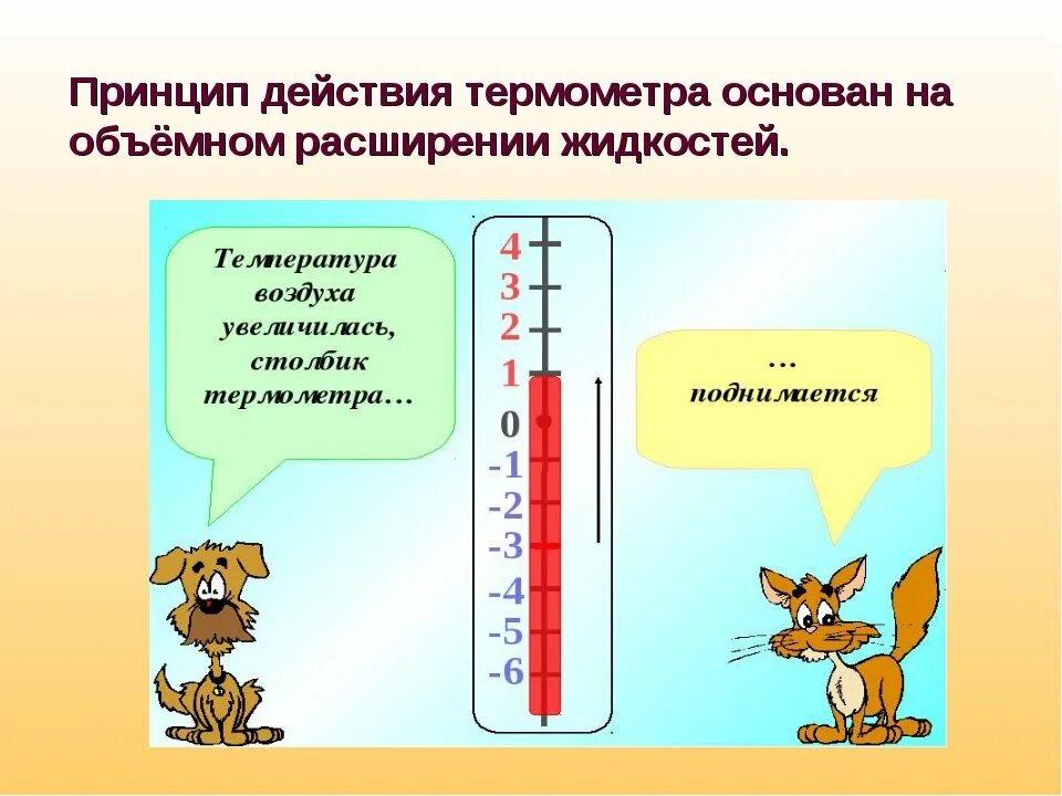 Второй опыт температура. Принцип работы термометра. Градусник для измерения температуры в помещении. Термометр и его устройство. Виды термометров для измерения температуры.