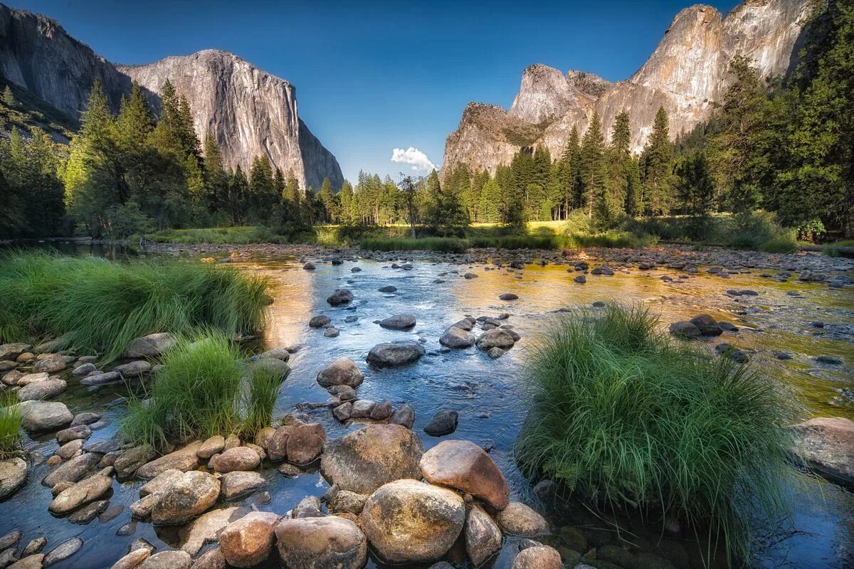 Yosemite National Park. Национальный парк Йосемити пазлы. Йосемити каменный лес. Шаттерсток природа горы река.