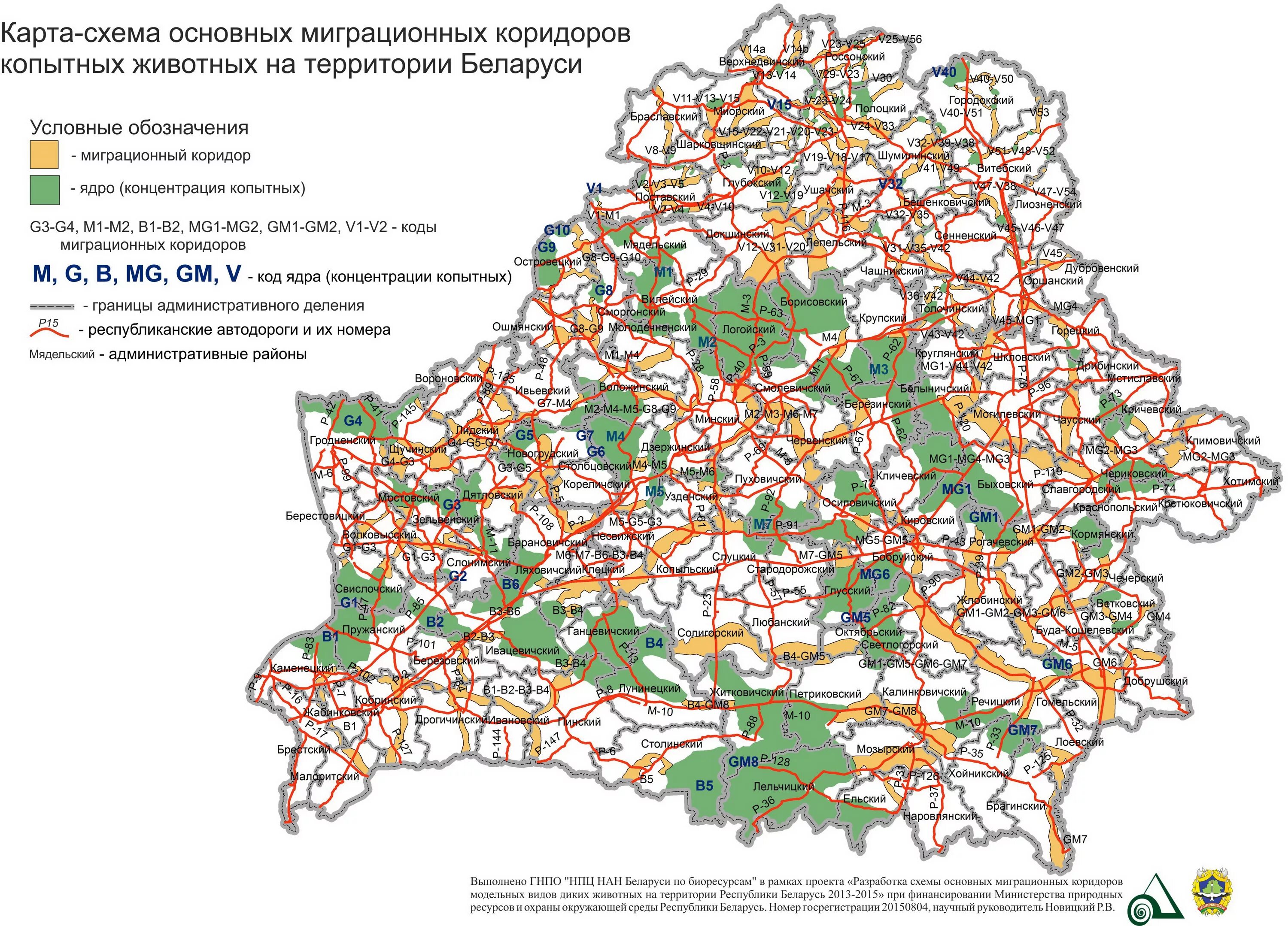 Карта автомобильных дорог Белоруссии. Карта автомобильных дорог Беларуси подробная. Карта Беларуси с дорогами автомобильная. Карта автомобильных дорог Республики Беларусь. Страны окружающие беларусь