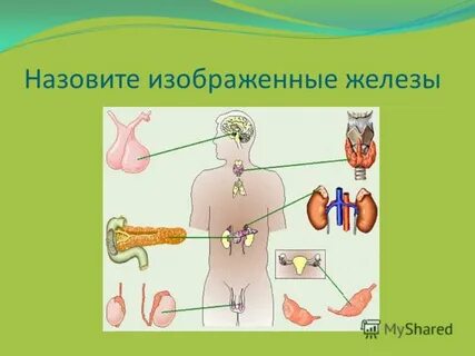5 железа изображенная на рисунке