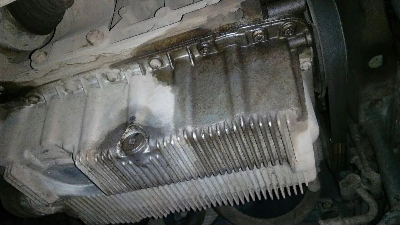 Масло в октавию 1.6 mpi. Масляный поддон skoda octavia a7 1.6 mpi. сливная пробка октавия а5 1.6 mpi. масляной на картер на шкоду октавия.