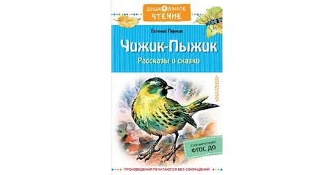 Чижик саранск