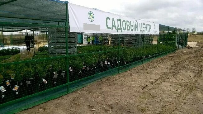 Питомник ивановская область. Буньково питомник ивановская. Декоративные растения для сада. Питомник растений ивановская область. Зеленый май питомник растений.