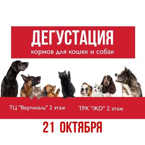 В каком магазине проходит акция. Дегустатор корма для животных. Дегустация корма для собак четыре лапы. Листовка корма. Дегустация корма для кошек.