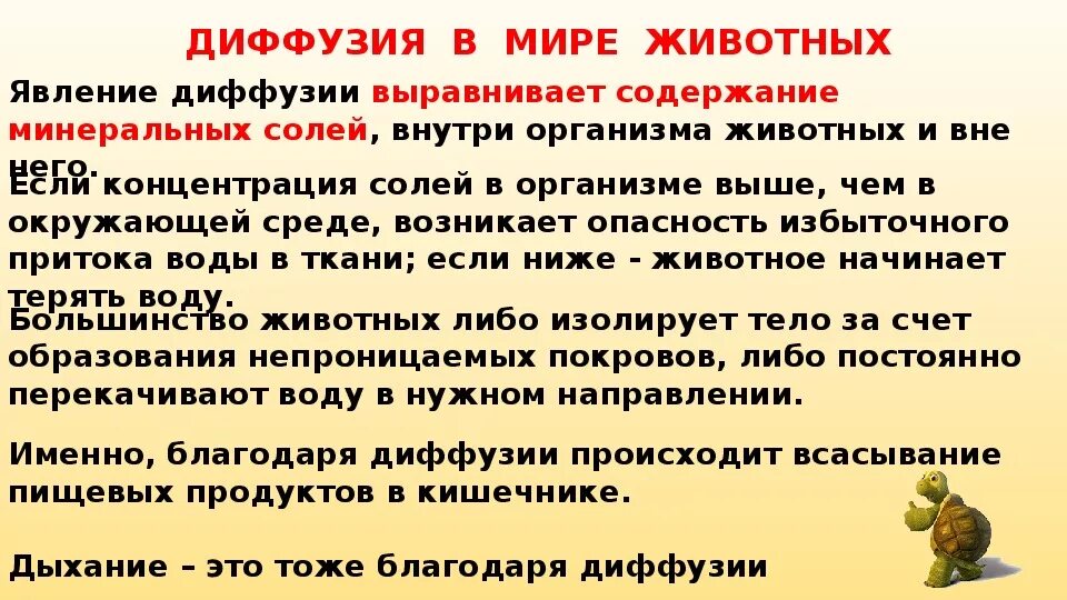 4 какое значение это имело. Роль диффузии в жизни животных. Примеры диффузии в окружающем мире. Роль диффузии в жизни растений и животных. Диффузия у животных примеры.