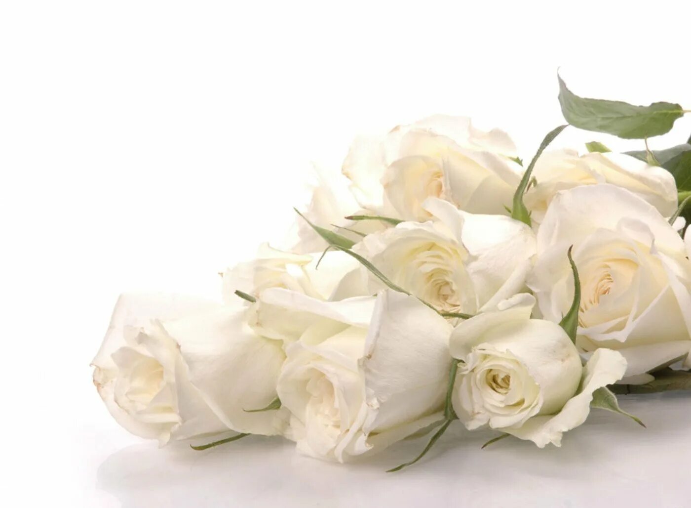 Тем кто грустит. Открытки с днем рождения белые розы. Открытки с белыми розами. Белые розы поздравление. Открытки с днём рождения женщине белые розы.