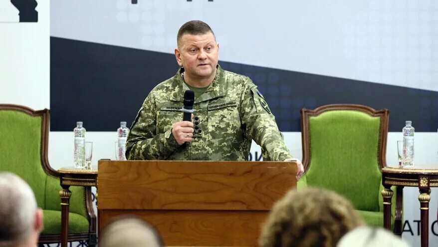 Выступление залужного последнее видео. Выступление залужного последнее видео