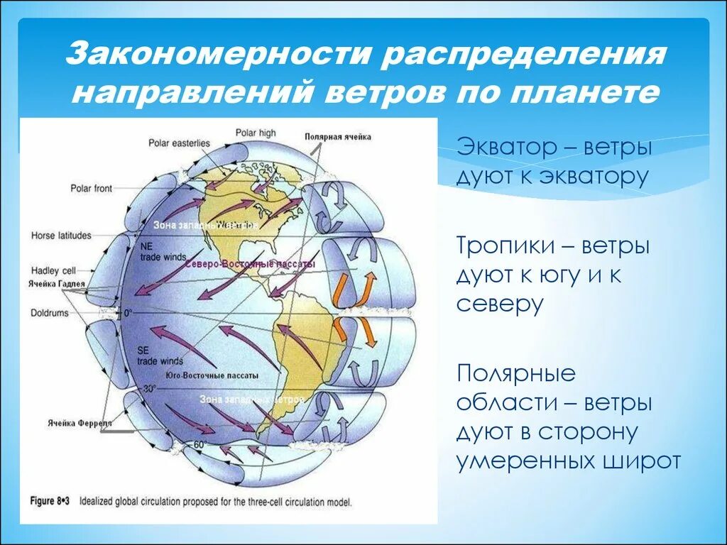 Схема пассатов ветров. Карта ветров планеты. Постоянные ветры на карте. Постоянные ветры схема.