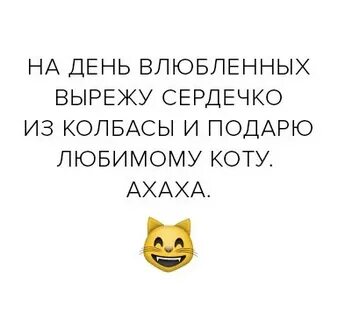 Заходил 15