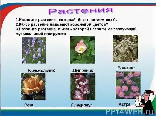 Растение перечислить