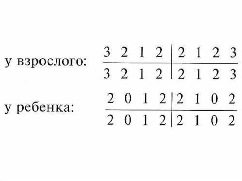 2123 зубы
