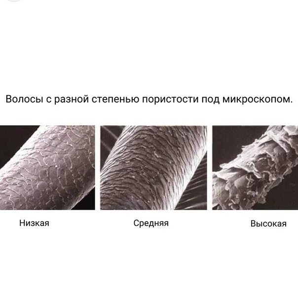 Волосы с низкой пористостью как выглядят Pin by Britt