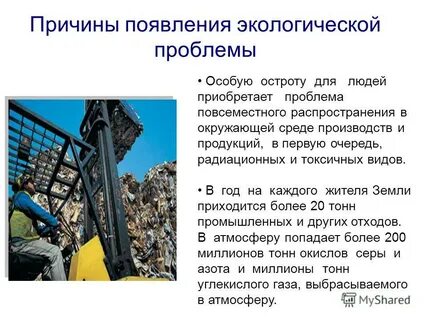 Возникновение экологических проблем