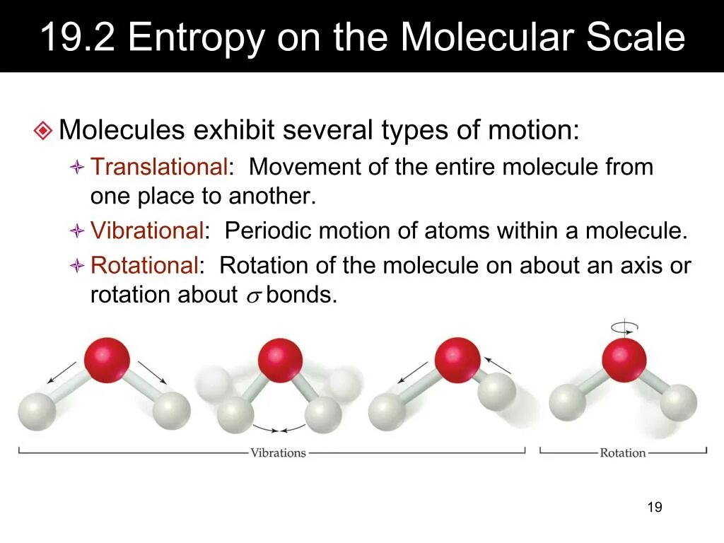 Entropy sim. Translational Movement. Translational Entropy. What is Entropy. Молекула Антиэйджинг.