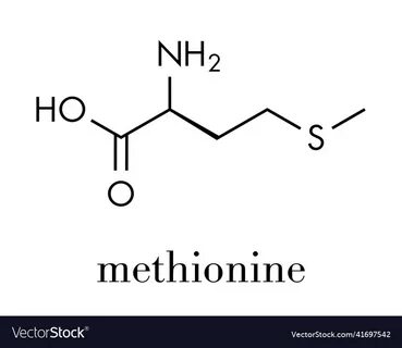 L метионин