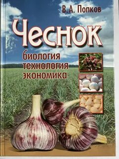 Карта чеснок