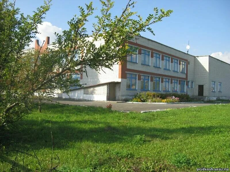 школа н д. школа 34 тула. д. школа 2 семилуки. школа кильмезь кировской области.