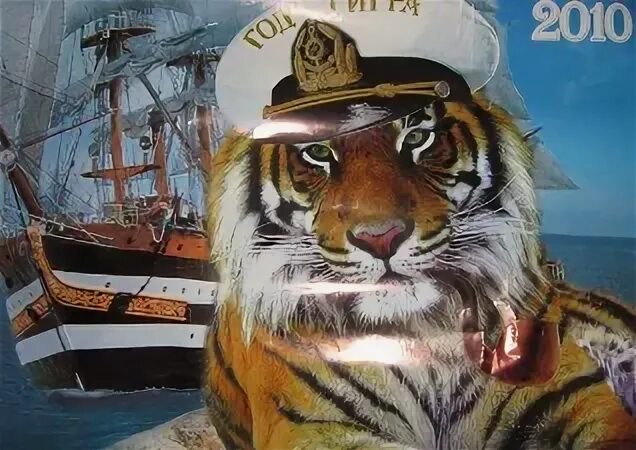Tiger санкт петербург