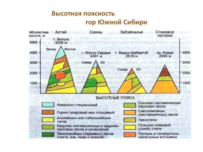 Горные системы высотной поясности на карте. Высотная поясность класс 8 класс. Высотная поясность Кавказа 8 класс география. Высотная поясность 8 класс Уральские горы. Высотная поясность это в географии 7 класс.