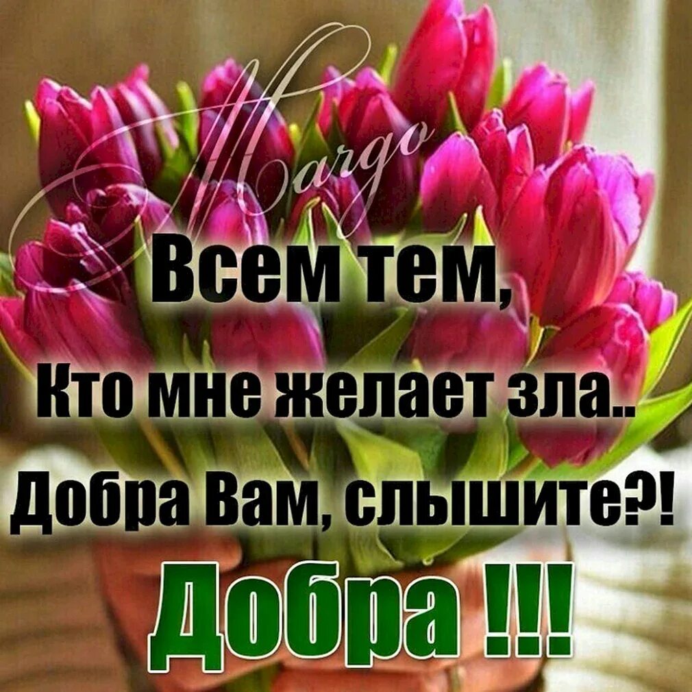 Я - господь бог. Фразы про бога. Не творите пакости не желайте зла. Если бог. Всем врагам желаю счастья.