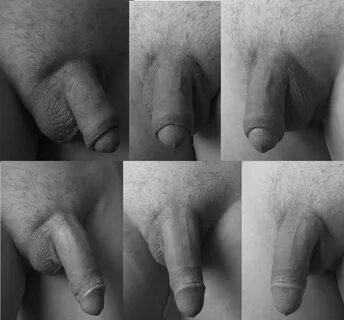 Thumbnail for version as of 23:50, 10 April 2015. 