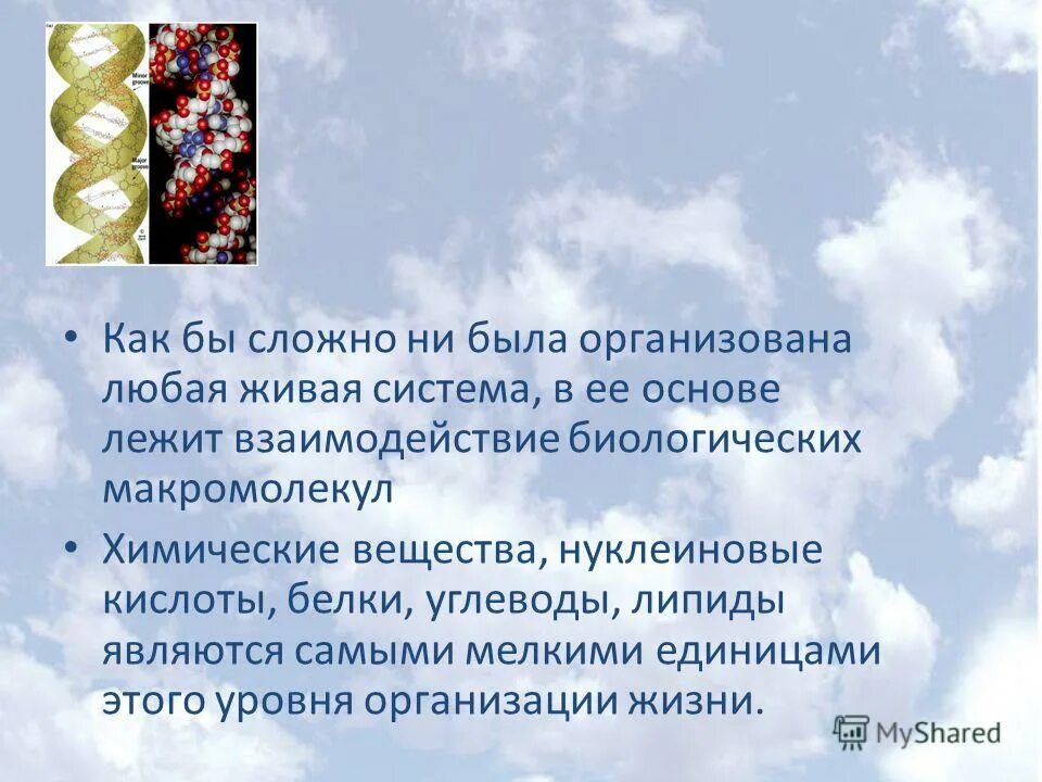 школа живых систем