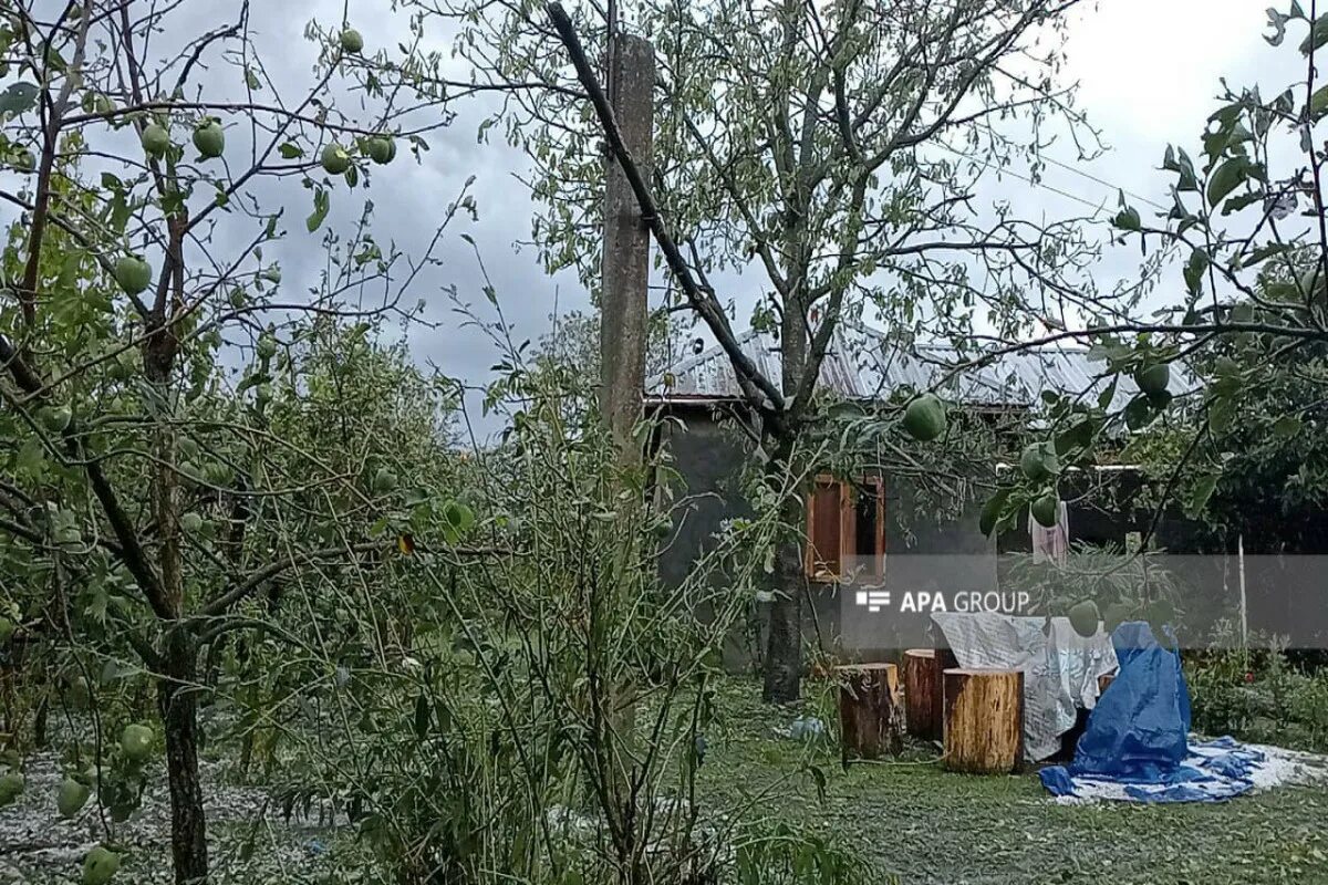 Погода апа. Погода апа. Погода картинки. Погода апа. Гисметео.