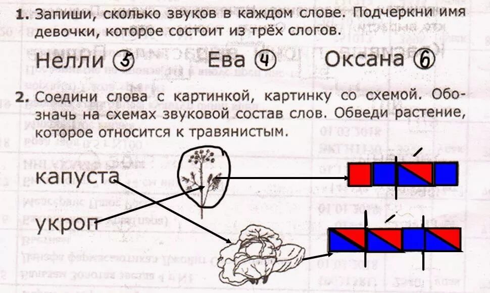 Капуста звуковая схема. Схема слова звук 1 класс. Звуковые схемы слов 1 класс. Капуста звуковой состав.