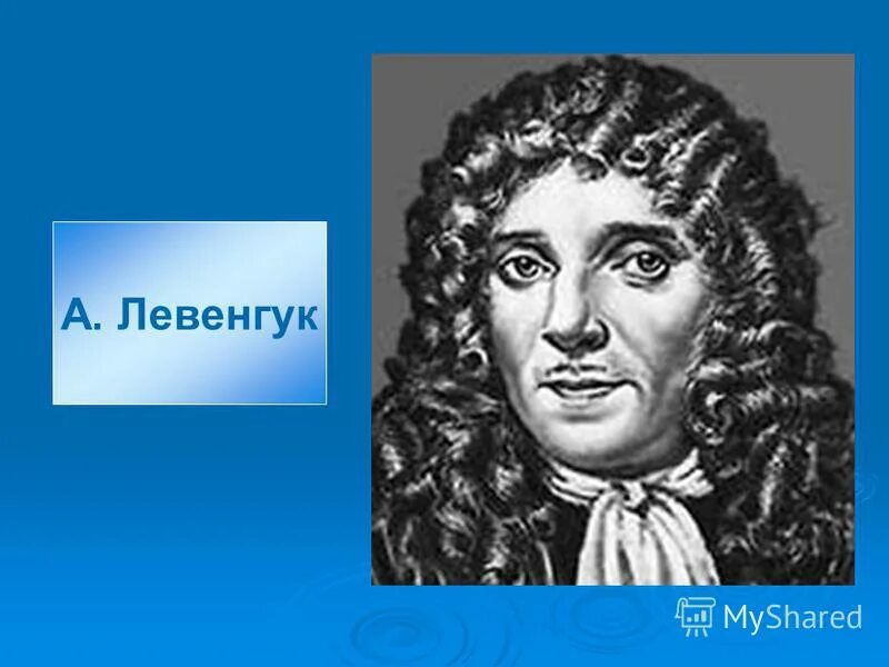 1680 антоний ван левенгук. антони ван левенгук. ван левенгук. а левенгук. антони ван левенгук портрет.