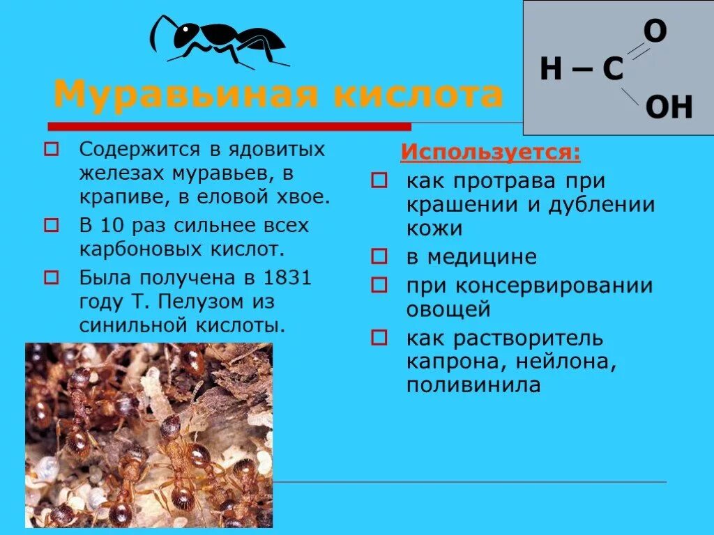 В 10 раз сильнее. Муравьиная кислота. Муравьиная кислота презентация. Муравьиная кислота содержится. Муравьиная карбоновая кислота.