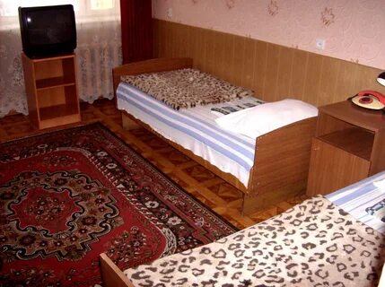 Сосновый бор курск