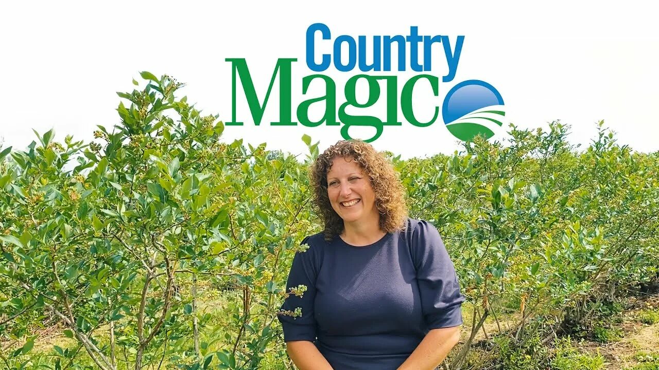 It s magic. Magical country.