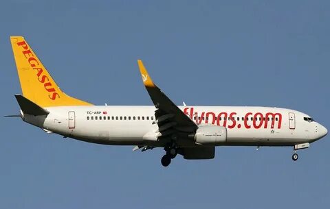 Pegasus airlines рейс