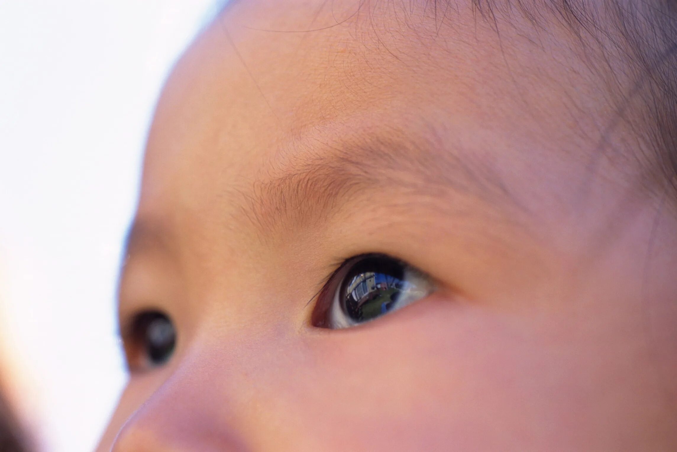 Почему у новорожденного глазки. Глаза у новорожденных. Разрез глаз у новорожденных. Глаза новорожденного ребенка. Разрез глаза у новорожденного.