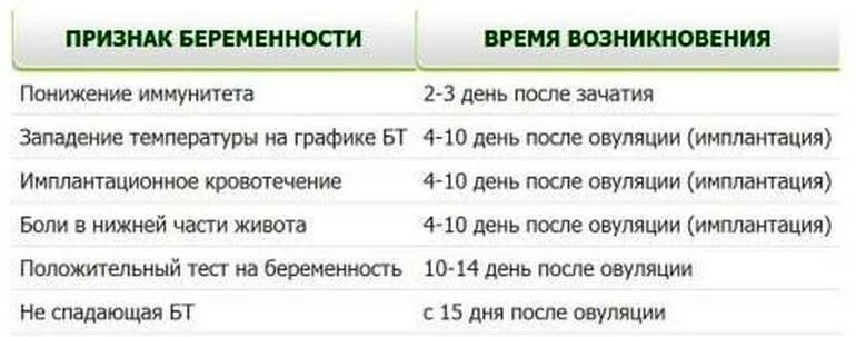 Через сколько можно беременным