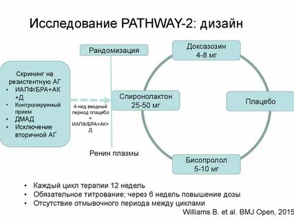 Цикл терапии