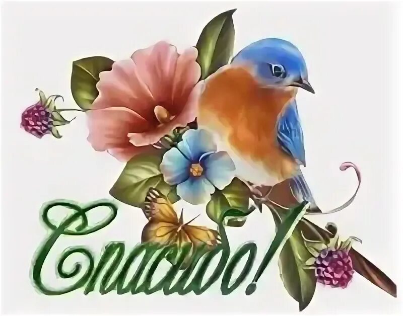 Спасибо открытки весенние. Спасибо с птицами. Спасибо птичка. Весеннее спасибо. Спасибо от птички.