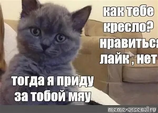 Мяу мяу мем грустный. Кот пидрила. Мяу прикол. Мяу. Мяу мяу мяу мяу мяу.