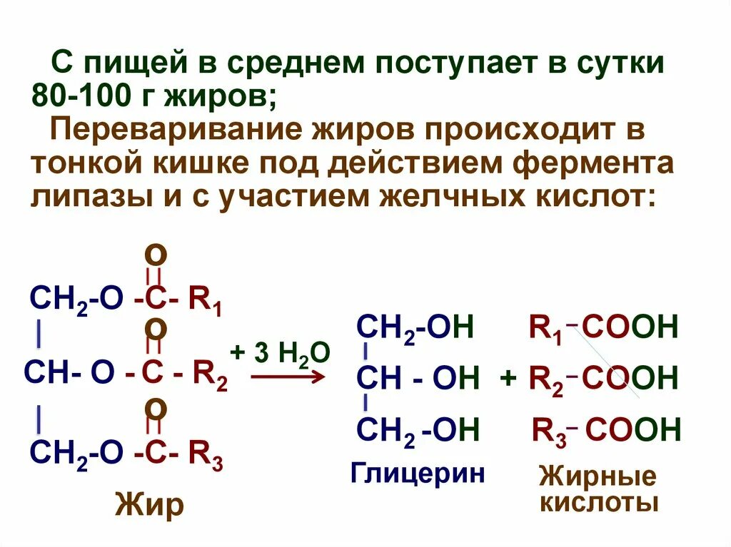 Ферментативный гидролиз жиров. Жиры номенклатура химия. Гидролиз жиров липазой. Гидролиз жира биохимия. Гидролиз жиров в пищеварительном тракте.