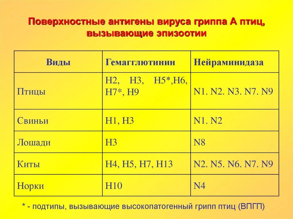 Грипп н5. Поверхностные антигены гриппа. Антигены вируса гриппа. Типоспецифический антиген вируса гриппа. Поверхностные антигены вирусов.