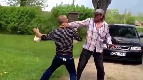 Видео смешных боев