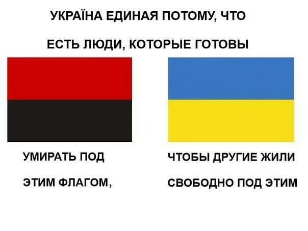 Как называется черно красный флаг. Красно чёрный флаг украины что это. черно красный флаг. флаг украины цвета. бандеровский флаг.
