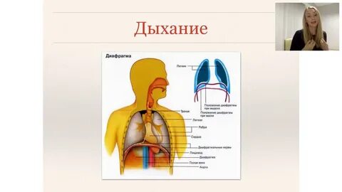 Дыхание и голос