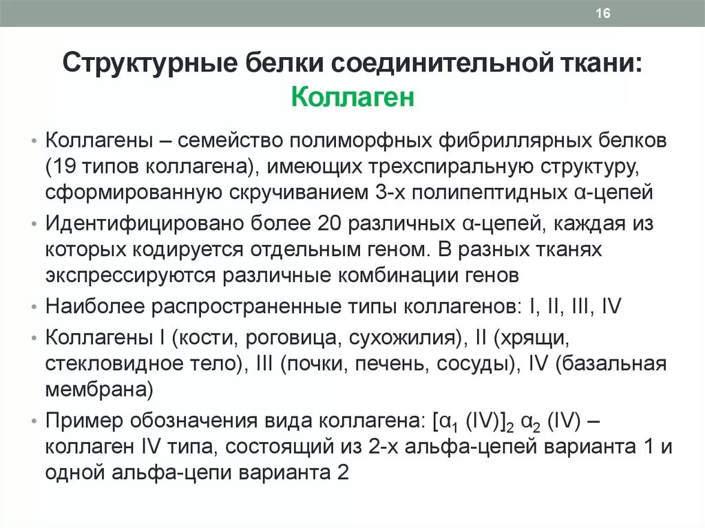 Особенности строения белков соединительной ткани биохимия. Белки соединительной ткани. Классификация функции.. Классификация структурных белков соединительной ткани. Структурные белки соединительной ткани.