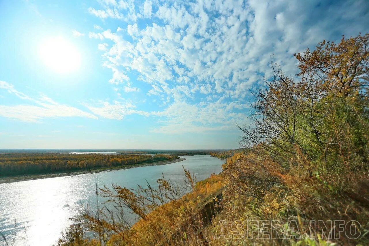 Обь село. Река Обь Барнаул. Река Обь в Алтайском крае. Реки в г. Барнаул Алтайский край. Обь берег Барнаул.