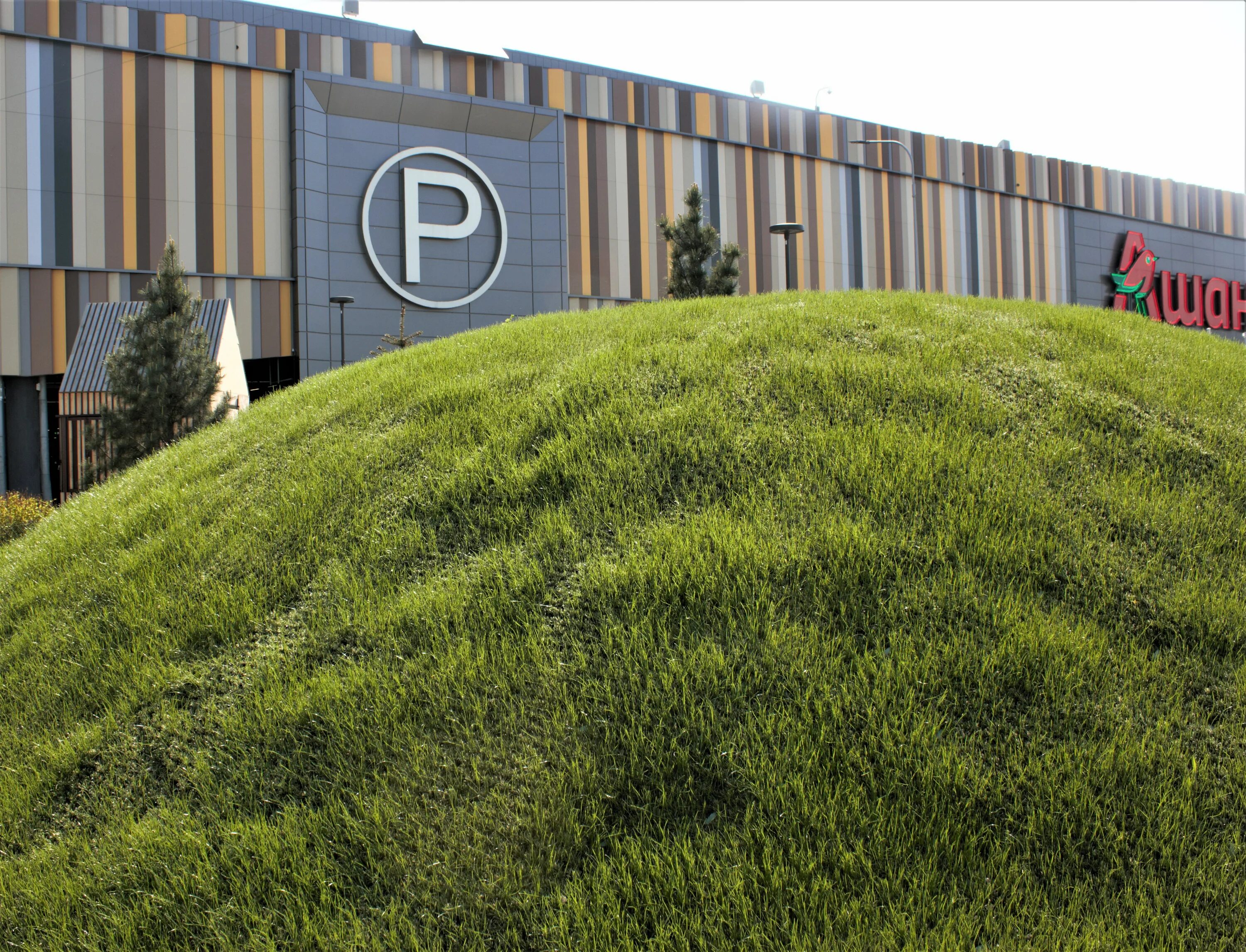 Гибридный газон в екатеринбурге. Грин гибрид площадки. Грин гибрид. Гибридная трава reformsports. Гибридная трава green hybrid.