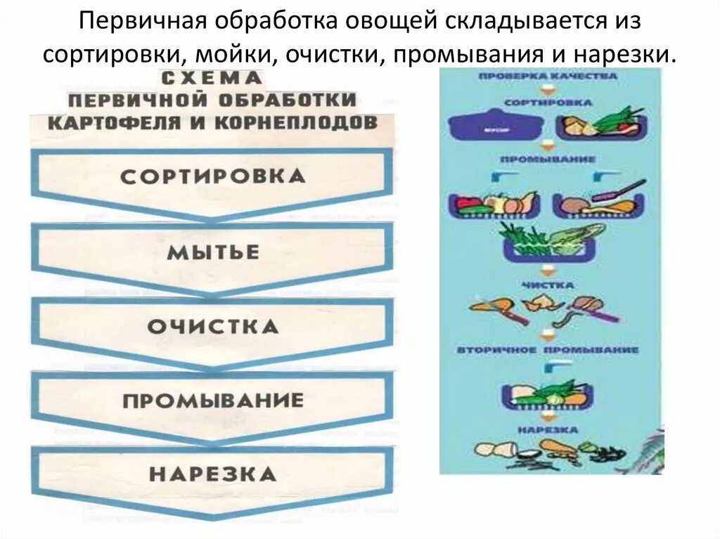 Обработка продуктов овощи. Первичная обработка. Первичная обработка продуктов. Способы первичной обработки. Первичная обработка продуктов. Плакат.