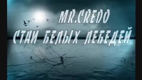 Мистер кредо стая белых лебедей летят